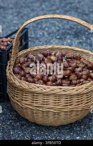 Fresh chestnuts in a traditional wicker basket prepared for roasting Stock Photo