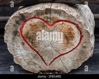 A red heart outline is painted on the cut surface of an old weathered tree trunk, with growth rings and natural cracks clearly visible. The rustic woo Stock Photo