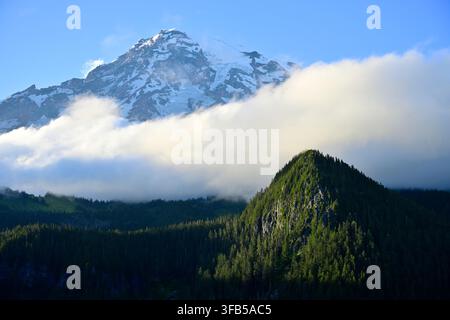 The snow-covered peak of Mount Rainier rises majestically above a thick layer of white clouds and a lush green forested hillside, Washington, USA. Stock Photo