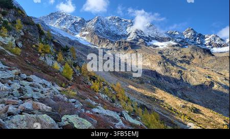 Golden Larches and Snow-Capped Peaks in an Autumn Mountain Landscape in Saas-Fee, Valais, Switzerland Stock Photo