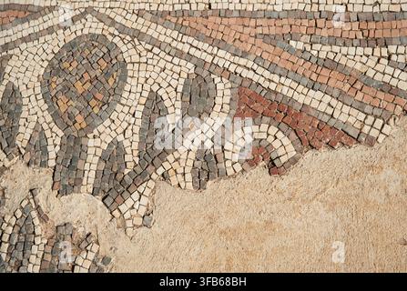 Close-up of an ancient stone mosaic floor with floral and geometric patterns discovered in Shoham Forest Park, Israel. Stock Photo