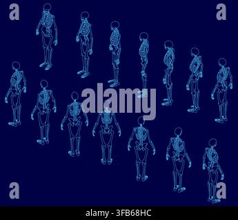 Set of human skeleton contours arranged symmetrically on a stark blue background. The white outlines provide a clear anatomical study with strong visu Stock Vector