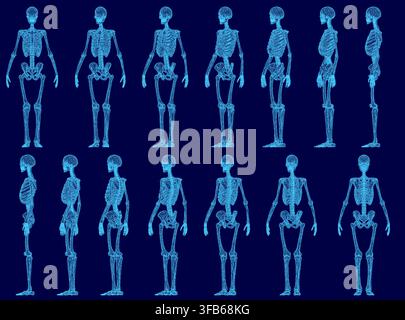 A set of human skeleton wireframes arranged in a grid on a stark blue background. This anatomical collection clearly displays detailed bone structure Stock Vector