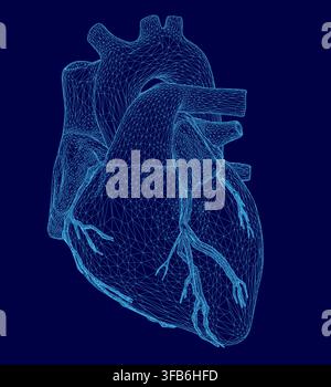 A detailed 3D wireframe model of a human heart, composed of intricate lines and shapes on a solid blue background. Stock Vector