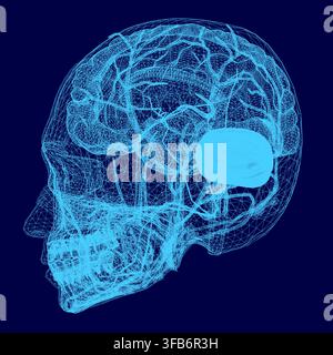A detailed blueprint of the human brain reveals its complex anatomy, including lobes, cerebellum, and neural pathways. Stock Vector