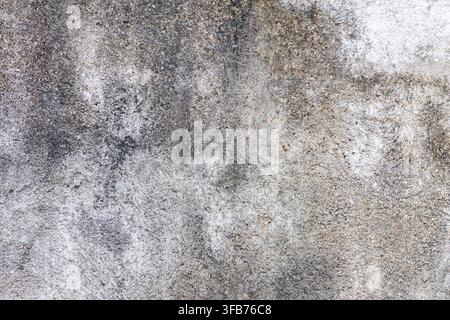 Full frame close up of an old cement wall showing coarse grain, dark discolouration and faded white patches. Neutral grunge texture suitable as a back Stock Photo