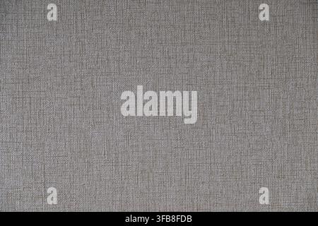 Neutral room wallpaper texture, featuring a fine surface pattern ideal for modern interior design Stock Photo