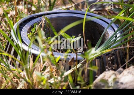 Heavy-duty tapered roller bearing abandoned in overgrown grass with sparkle patches of light in the background Stock Photo