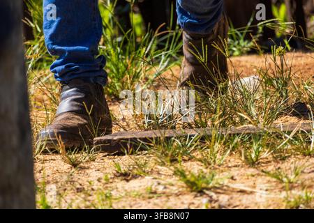 Worker walking on countryside terrain using leather boots and jeans Stock Photo