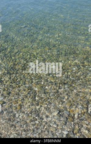Transparent shallow water reveals smooth pebbles on riverbed, with gentle sunlight ripples creating calm natural texture, clear color gradients, and p Stock Photo