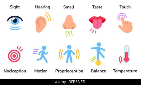 Icon set of human senses. Sight, smell, hearing, touch, taste, balance, temperature, body and pain. Simple flat cartoon vector illustration. Stock Vector