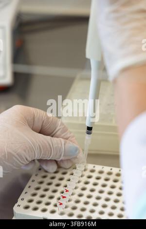 Scientist Pipetting Sample into Microtube in Laboratory Stock Photo