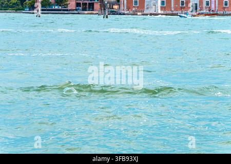 Choppy blue water fills the foreground with waterfront buildings and small boats in the distance. Stock Photo
