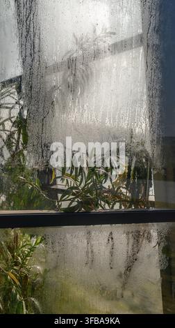 Green plants stand behind a window covered in water steam droplets. Stock Photo
