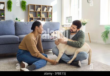 Happy young couple cuddling their Labrador dog on carpet in modern living room Stock Photo