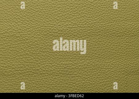 Close-up of matte olive green leather showing a soft pebbled grain texture and even lighting across the surface Stock Photo