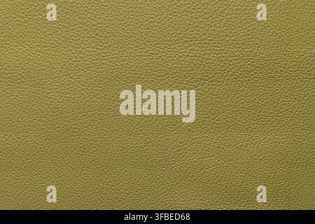 Close-up of matte olive green leather showing a soft pebbled grain texture and even lighting across the surface. Stock Photo