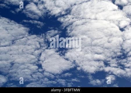 A dramatic blue sky filled with textured white altocumulus clouds spread across the frame Stock Photo