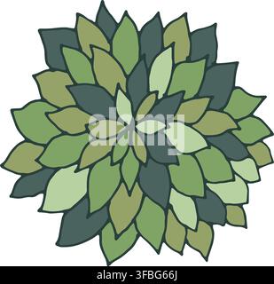 Flat Lay Succulent Desert Plant Rosette Stock Vector