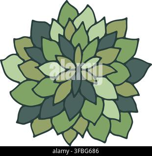 Hand Drawn Succulent Botanical Floral Element Stock Vector