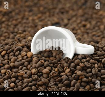 White ceramic cup lies on a pile of brown roasted arabica and robusta coffee beans, full frame Stock Photo