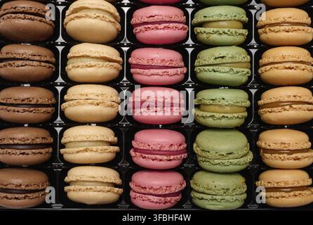Multi-colored macarons in a plastic box, top view. Assortment Stock Photo
