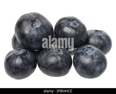 Stack of fresh blueberries on isolated background, close up Stock Photo