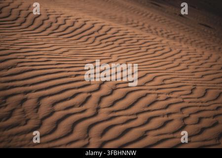The scene shows textured patterns of sand in the desert created by wind. The sun casts light, highlighting the ripples and curves of the surface. This area is vast and dry. Stock Photo