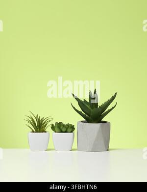 Three ceramic pots with plants on a white table, green background Stock Photo