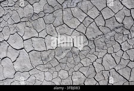 Cracked earth on a summer day, top view, summer day Stock Photo