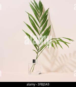 Tansparent glass vase and green palm leaf on a beige background. Stage for displaying products, cosmetics Stock Photo