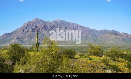 An overlooking view of Picacho Peak SP, Arizona Stock Photo