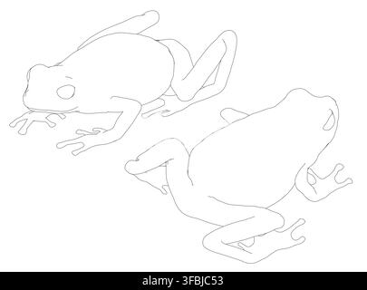 Two detailed frog contour sketches on a whit Stock Vector