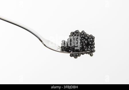 Fresh grainy black paddlefish caviar in metal fork on white background, close up Stock Photo