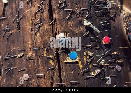 Close up of an old weathered wooden utility pole covered with numerous metal staples, tacks, and colorful push pins embedded in the textured surface. Stock Photo