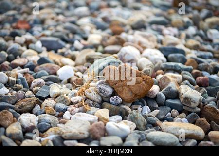 Close up view of multicolored smooth pebbles and small rocks covering a natural sea shore creating a detailed textured background pattern with various Stock Photo