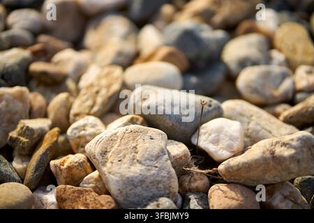 Close-up shot of smooth rounded pebbles and natural stones scattered on the ground forming a textured earthy surface pattern. Stock Photo