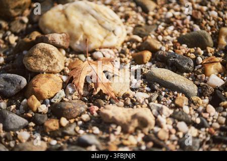 High angle close-up shot focusing on a dry brown fallen leaf resting on a bed of small multi-colored river stones and smooth pebbles on the ground dur Stock Photo