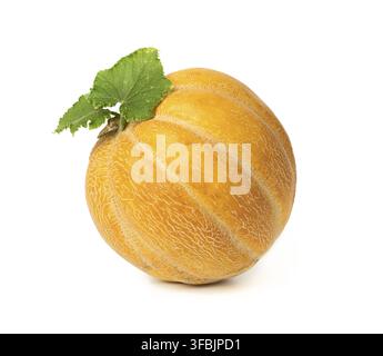 Round yellow ripe melon isolated on white background, close up Stock Photo