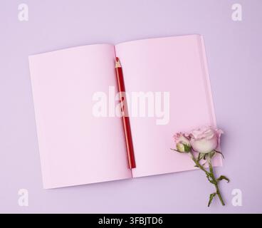 Open notebook with pink sheets and pink rose on a purple background, flat lay Stock Photo