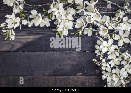 Branches blossoming almonds on a brown wooden surface, empty space in the middle, wine tinting Stock Photo