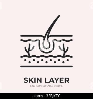 Skin layer line icon. Epidermis anatomy linear vector illustration. Thin sign of cutaway tissue, hair follicle for dermatology, skincare, barrier Stock Vector