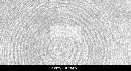Tree ring pattern showcasing natural wooden texture vector illustration background. Stock Vector