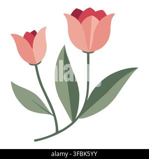 Pink tulip flowers blooming with green leaves, creating a springtime decorative plant illustration Stock Vector