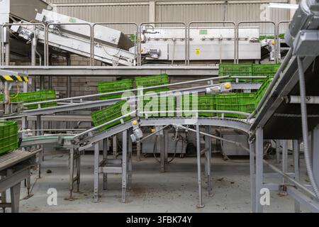 View of an industrial avocado packing house with automated conveyor belts and stacked green plastic crates in Uruapan, Michoacan, Mexico. Stock Photo