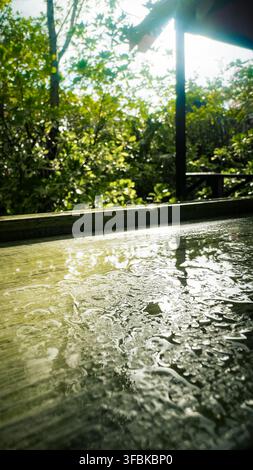 Sunlight reflecting across a rain-dappled wooden surface on a covered beach hut at GoldenEye resort, Jamaica, surrounded by lush tropical vegetation Stock Photo