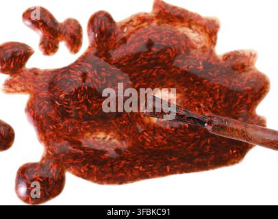 Spilled red nail polish with sparkles and a brush on a white background, blot Stock Photo