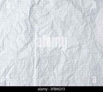 Crumpled blank sheet of white paper in a cage from a school notebook, full frame Stock Photo