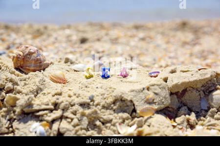 Inscription sea of wooden multicolored letters on the sand with seashells Stock Photo