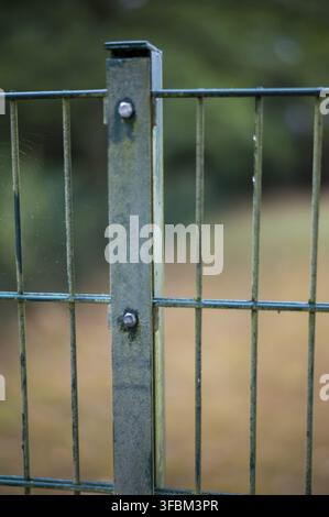 The image shows a close-up of a metal fence post with green and gray colors. The background features blurred grass and trees during autumn. A spider w Stock Photo